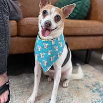 Thumbnail photo of Lucky Boy #1