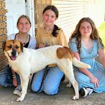 Thumbnail photo of Araya #4