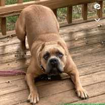 Thumbnail photo of Megan #1