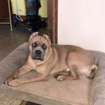 Thumbnail photo of Megan #2