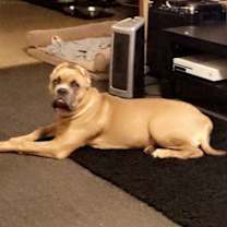 Thumbnail photo of Megan #3