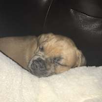 Thumbnail photo of Megan #4