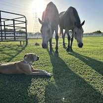 Thumbnail photo of Flip #4