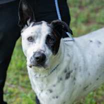 Thumbnail photo of LUTHER-29997 #1