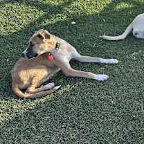 Thumbnail photo of Flip #2