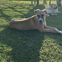 Thumbnail photo of Flip #3