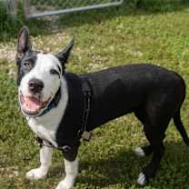 Thumbnail photo of Where #4