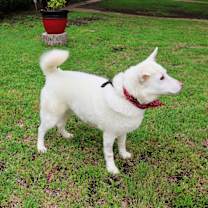 Thumbnail photo of Luna #2