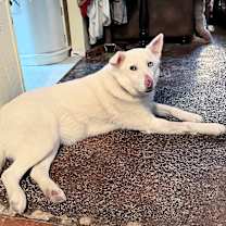 Thumbnail photo of Luna #3