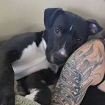 Thumbnail photo of Rocket/ Zeus #2