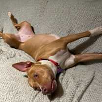 Thumbnail photo of Hazel #2