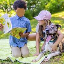 Thumbnail photo of Hector *FOSTER NEEDED TOO! #3