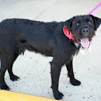 Thumbnail photo of Danny #3