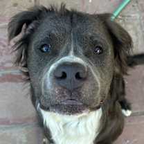 Thumbnail photo of Bubba Bear #2