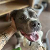 Thumbnail photo of Bubba Bear #3