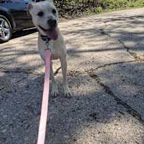 Thumbnail photo of Luna #1