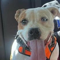 Thumbnail photo of Mamas #1