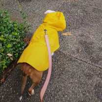 Thumbnail photo of Mamas #2