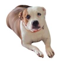 Thumbnail photo of Mamas #3