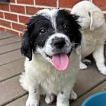 Thumbnail photo of Amani #2