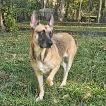 Thumbnail photo of Mila #1