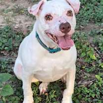 Thumbnail photo of Smarty Marty SPC #1