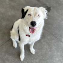 Thumbnail photo of Luna #1