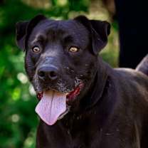 Thumbnail photo of London #2