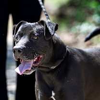 Thumbnail photo of London #3