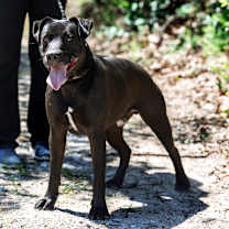 Thumbnail photo of London #4