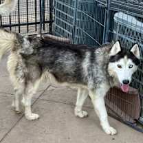 Thumbnail photo of Atlantis #3