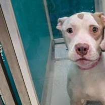 Thumbnail photo of Sinclair #2