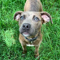 Thumbnail photo of Moon #1