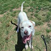 Thumbnail photo of Heist #3