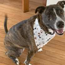 Thumbnail photo of Chloe #1