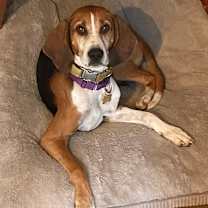 Thumbnail photo of Annie #1