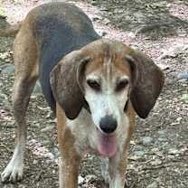 Thumbnail photo of Annie #2