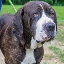 Thumbnail photo of Sully #3