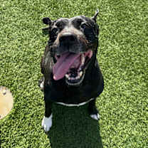 Thumbnail photo of Maya #4