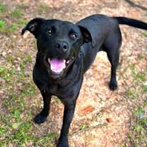 Thumbnail photo of Jayce #1