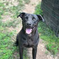 Thumbnail photo of Jayce #3