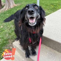 Thumbnail photo of Pops #1