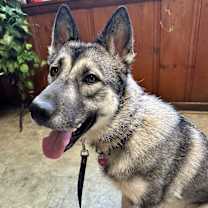 Thumbnail photo of Eva #4