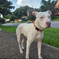 Thumbnail photo of Cyan #2