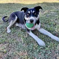 Thumbnail photo of Max #1