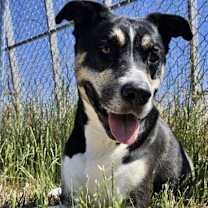 Thumbnail photo of Max #3