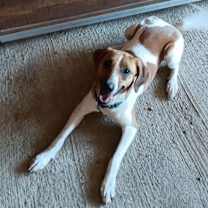 Thumbnail photo of Kryptonite #1