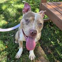 Thumbnail photo of Kano #2