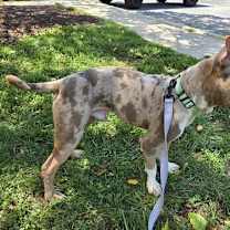 Thumbnail photo of Kano #3