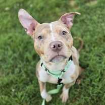 Thumbnail photo of Kano #4